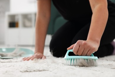 Woman with brush and scoop removing pet hair from carpet at home, closeup