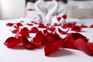 Honeymoon. Swans made with towels and beautiful rose petals on bed, selective focus