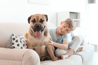 Photo of Cute little child with his dog on couch at home