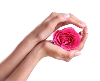 Woman holding rose on white background, closeup. Spa treatment