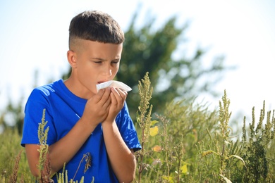 Photo of Little boy suffering from ragweed allergy outdoors