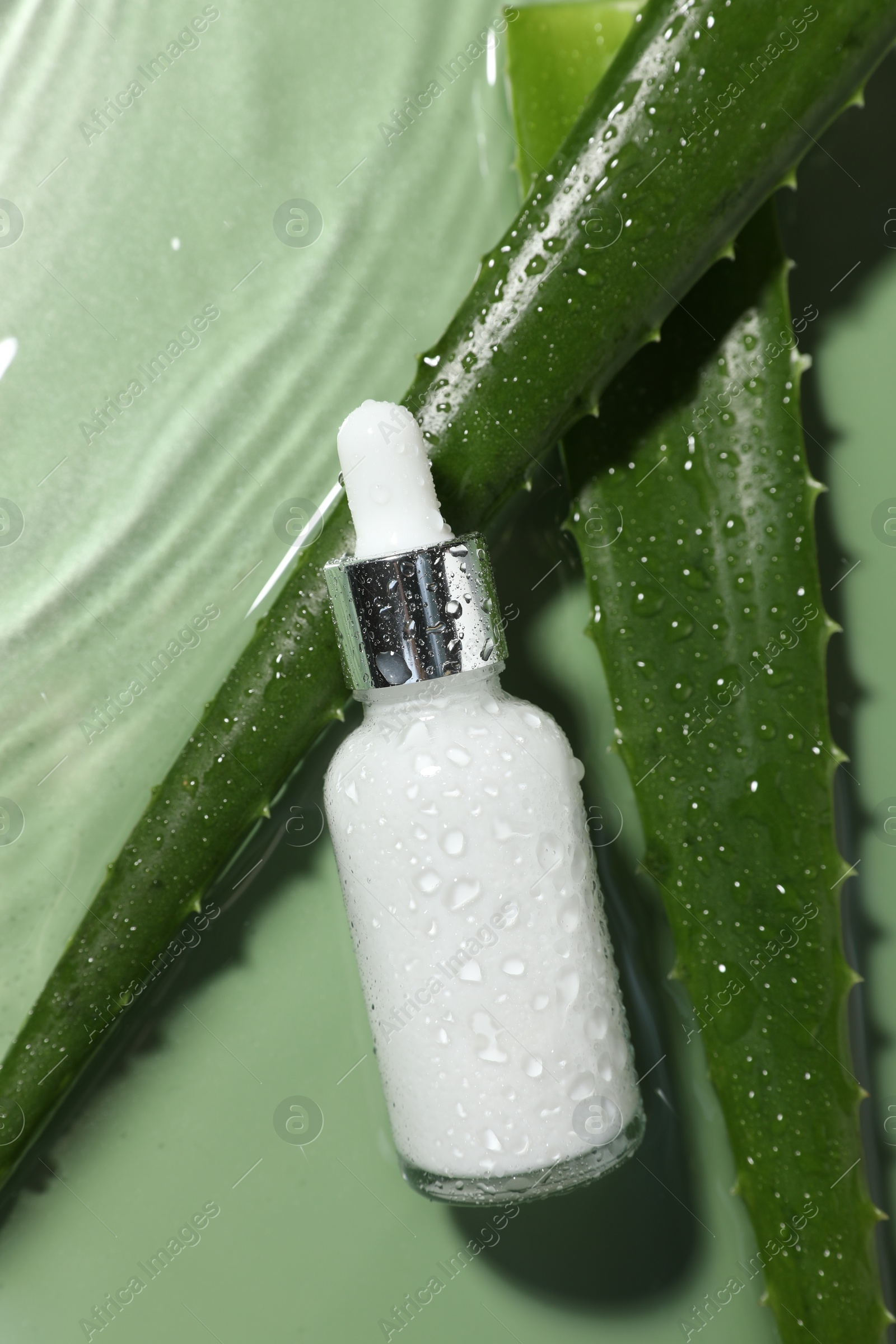 Photo of Bottle of cosmetic product and aloe leaves in water on pale green background, flat lay