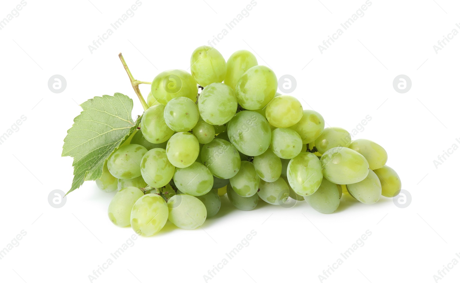 Photo of Fresh ripe grapes and leaf isolated on white