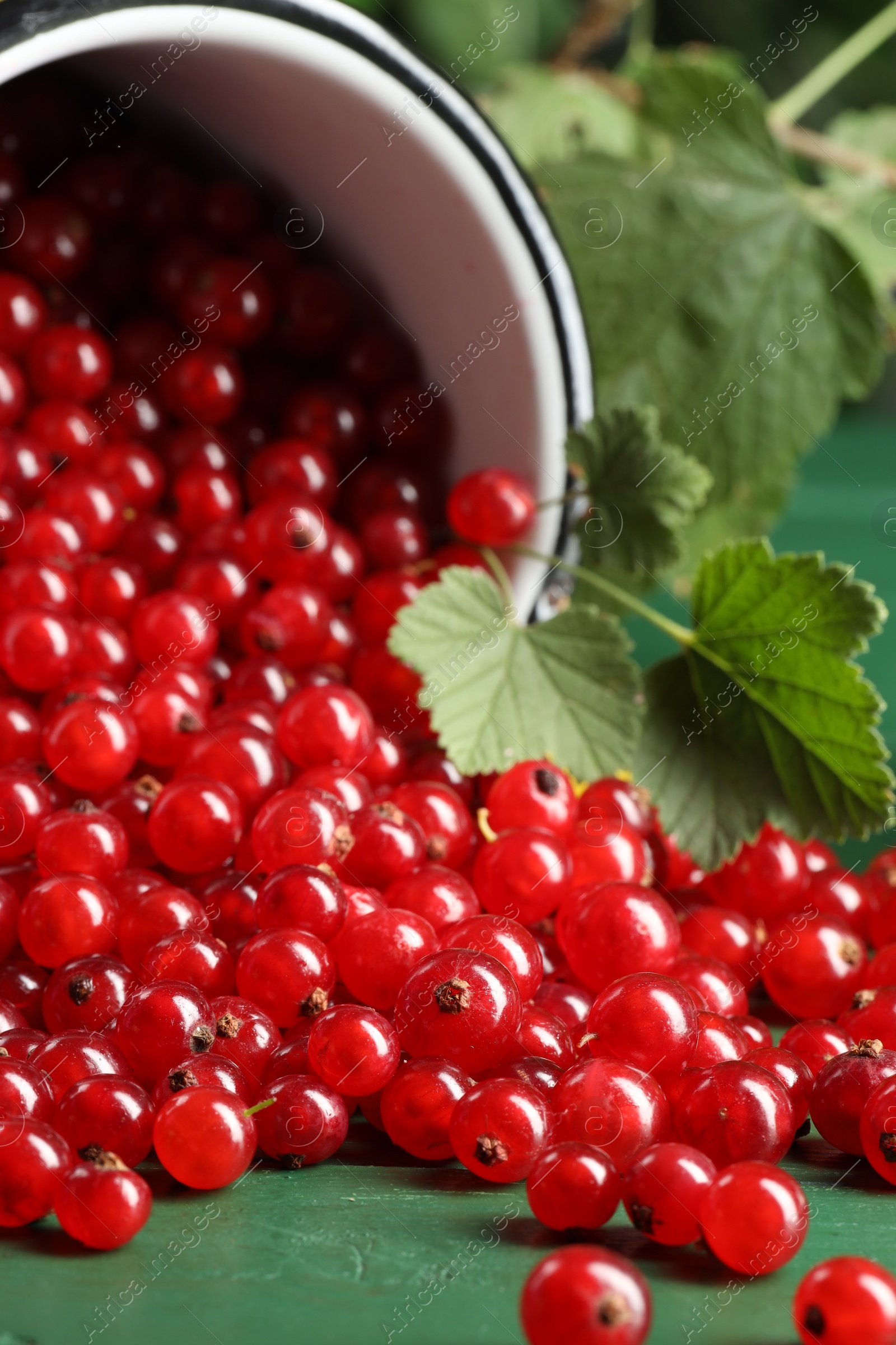 Photo of Many ripe red currants and leaves on green wooden table, closeup