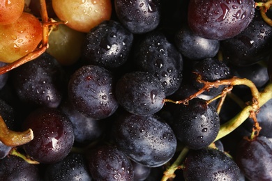 Fresh ripe juicy grapes as background, closeup