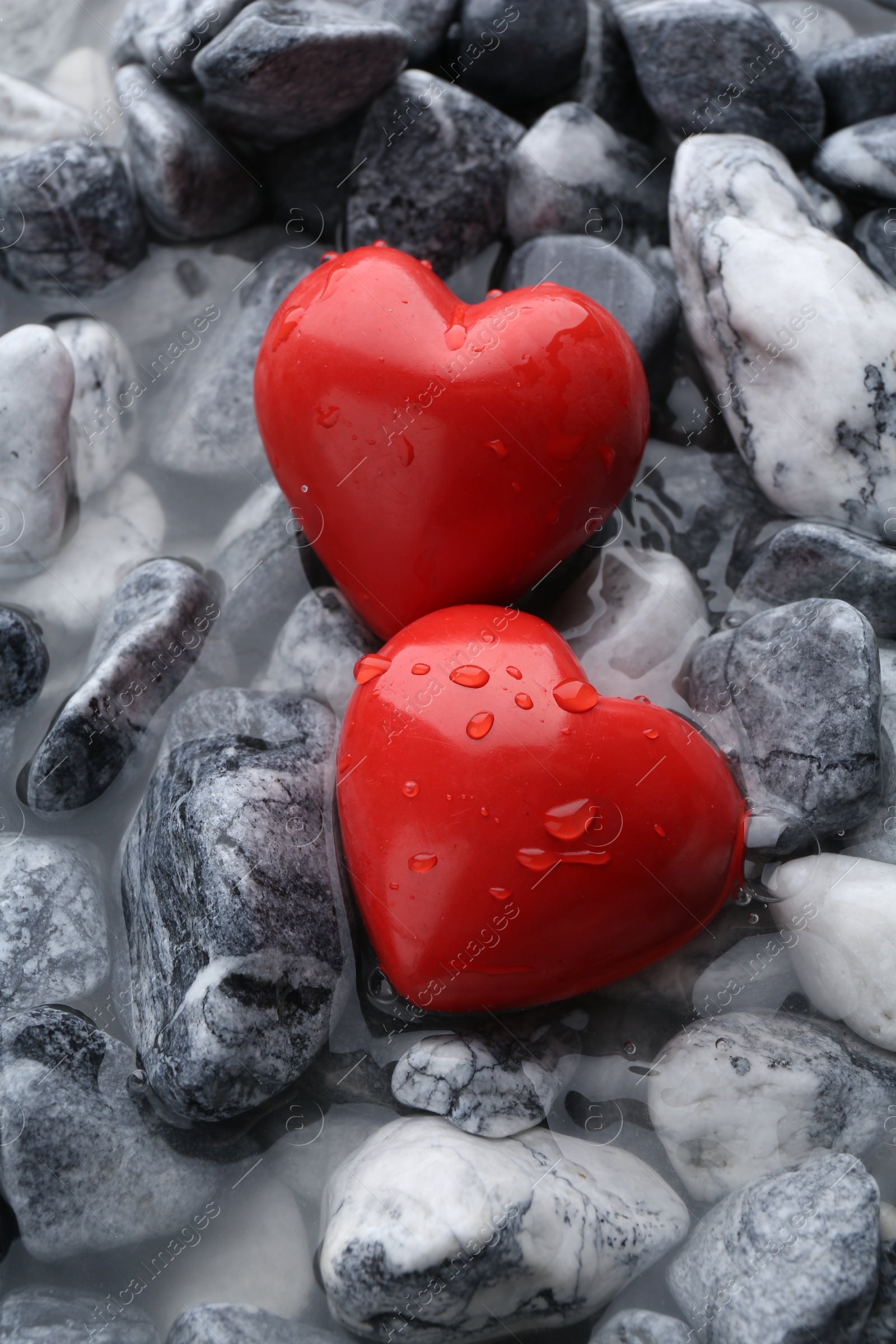 Photo of Red decorative hearts on stones and water