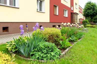 Beautiful flowerbed with different plants on city street. Gardening and landscaping