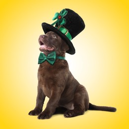 St. Patrick's day celebration. Cute Chocolate Labrador puppy with leprechaun hat and green bow tie on yellow background