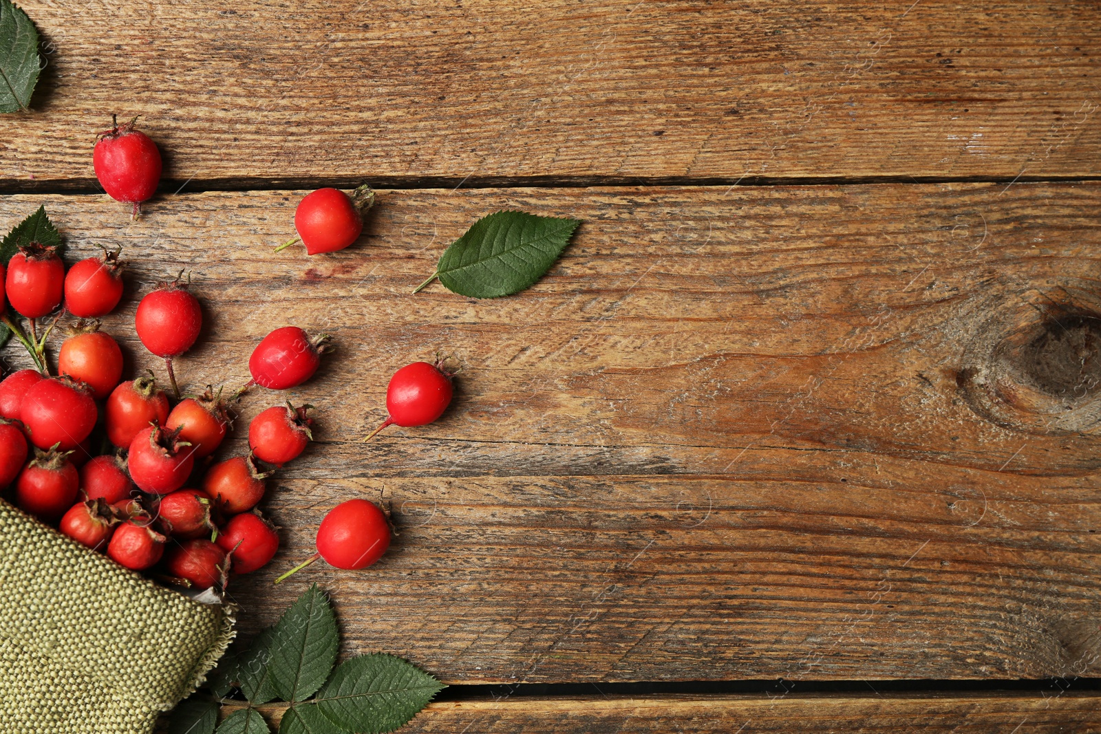 Photo of Ripe rose hip berries with green leaves on wooden table, flat lay. Space for text