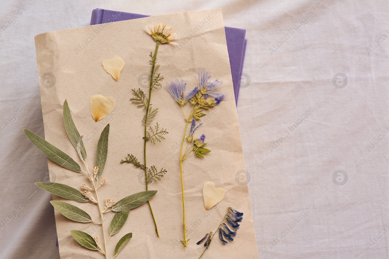 Photo of Sheet of paper with dried flowers and leaves on white fabric, top view. Space for text