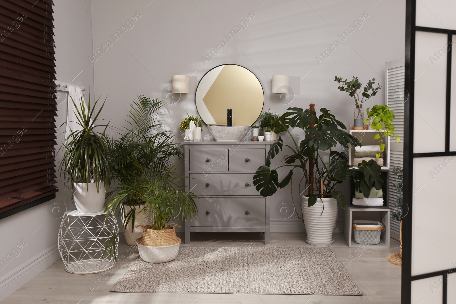 Photo of Stylish bathroom interior with modern furniture and beautiful green houseplants