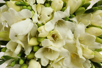 Beautiful aromatic freesia bouquet as background, closeup