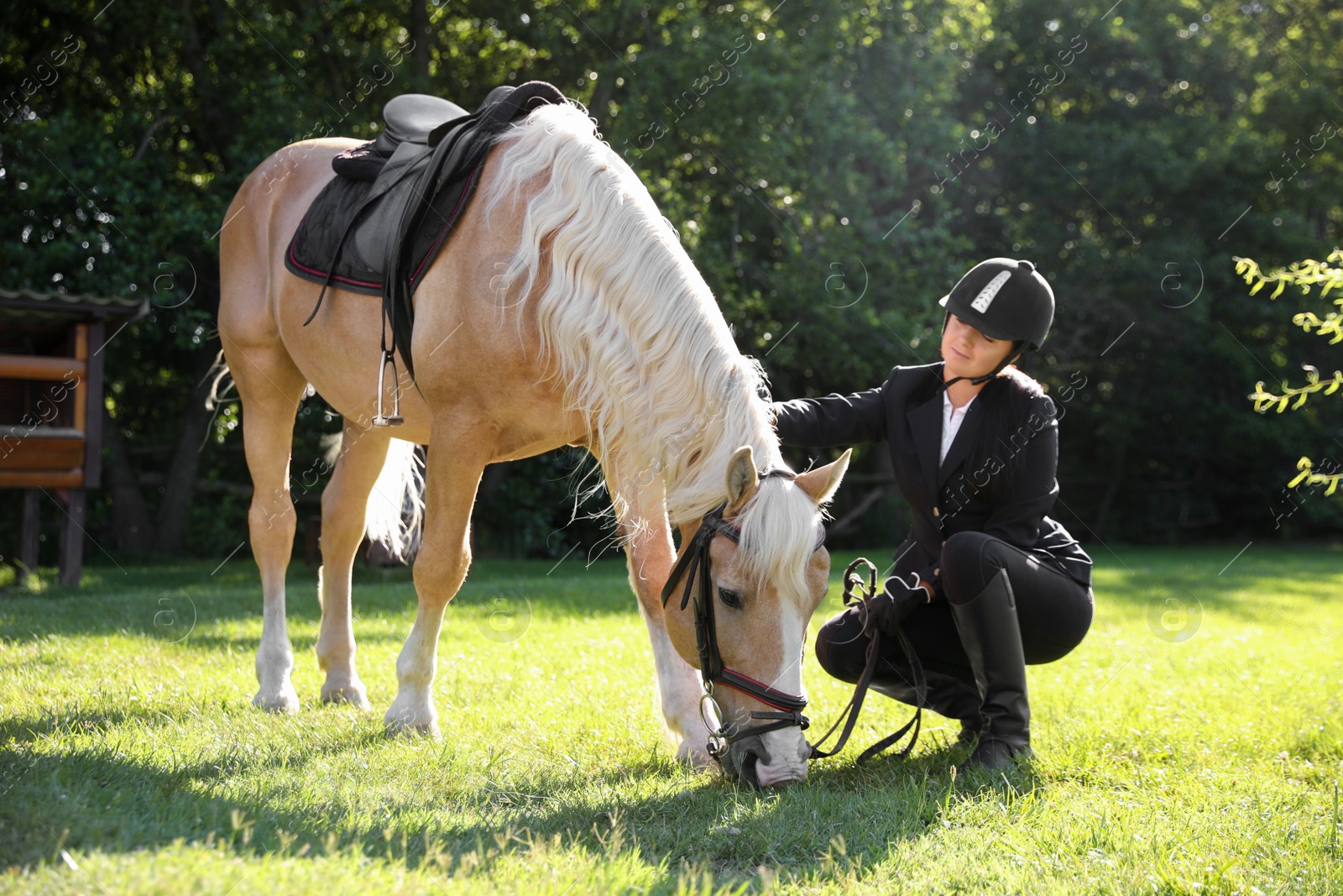 Photo of Young woman in horse riding suit and her beautiful pet outdoors on sunny day