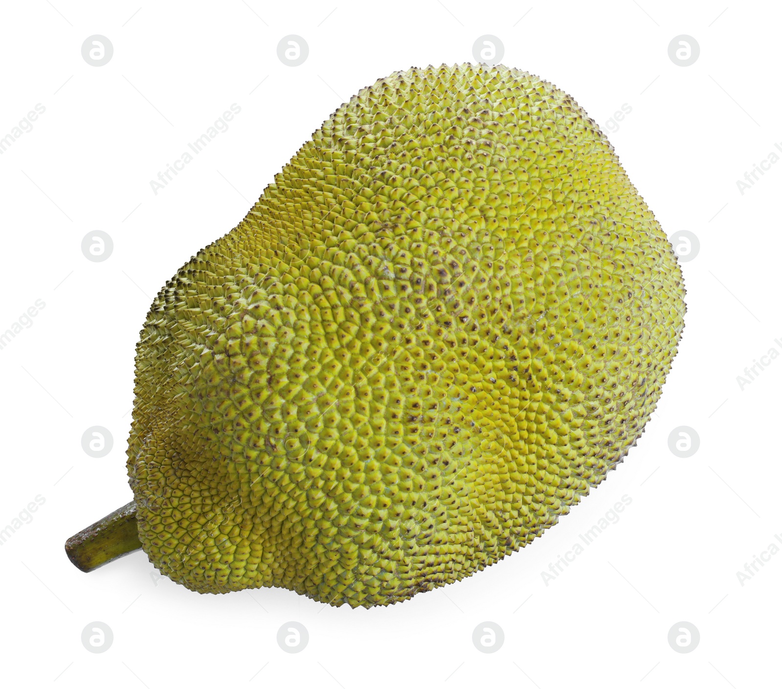 Photo of Delicious fresh exotic jackfruit isolated on white