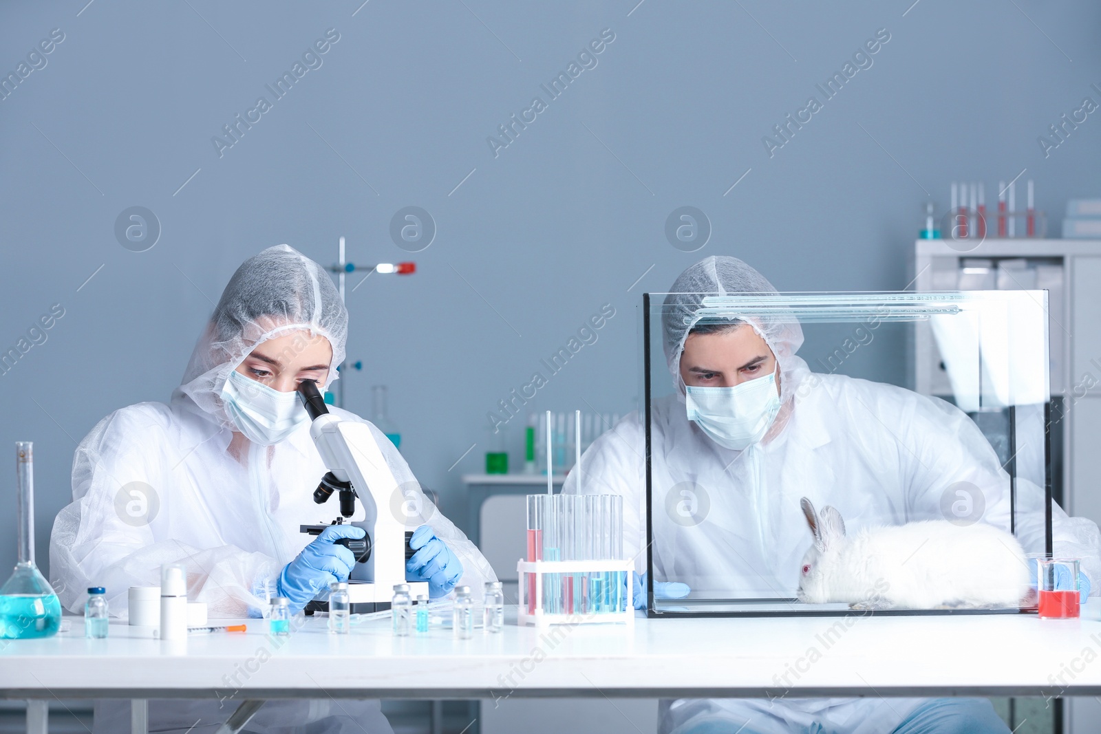 Photo of Scientists working in chemical laboratory. Animal testing