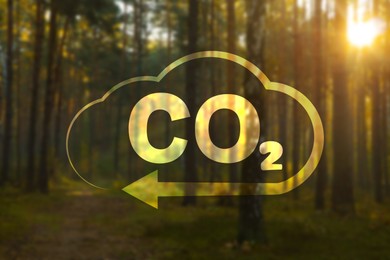 Concept of clear air. CO2 inscription in illustration of cloud with arrow and beautiful forest