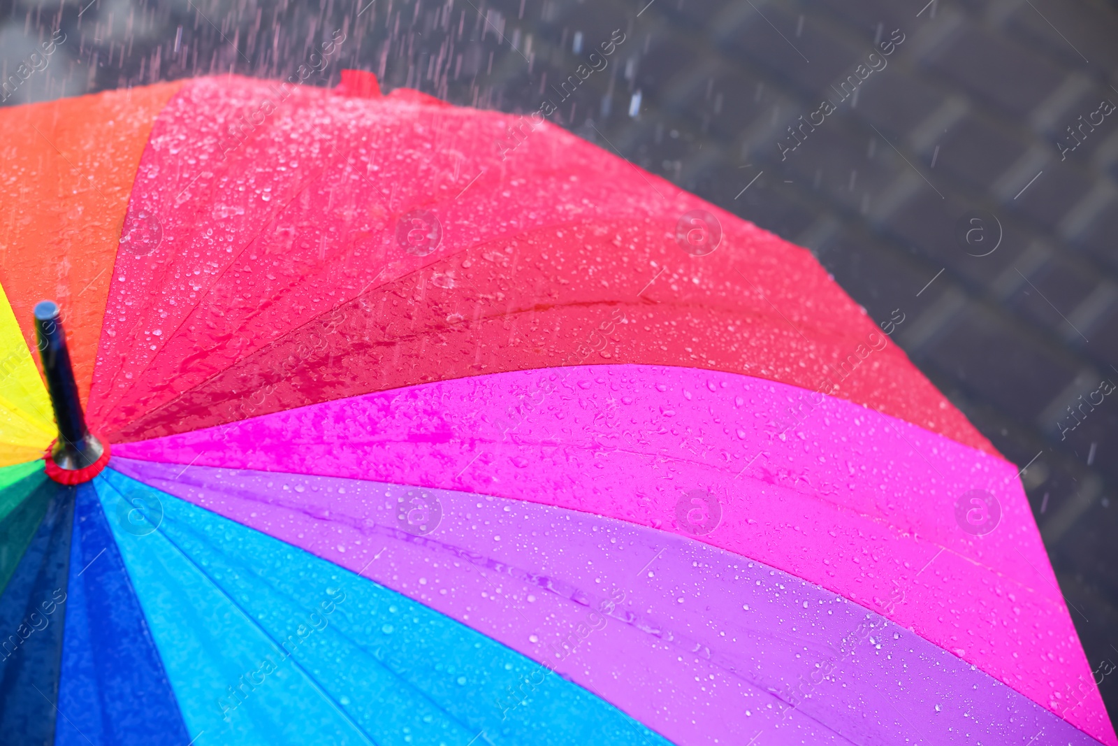 Photo of Bright color umbrella under rain outdoors, closeup