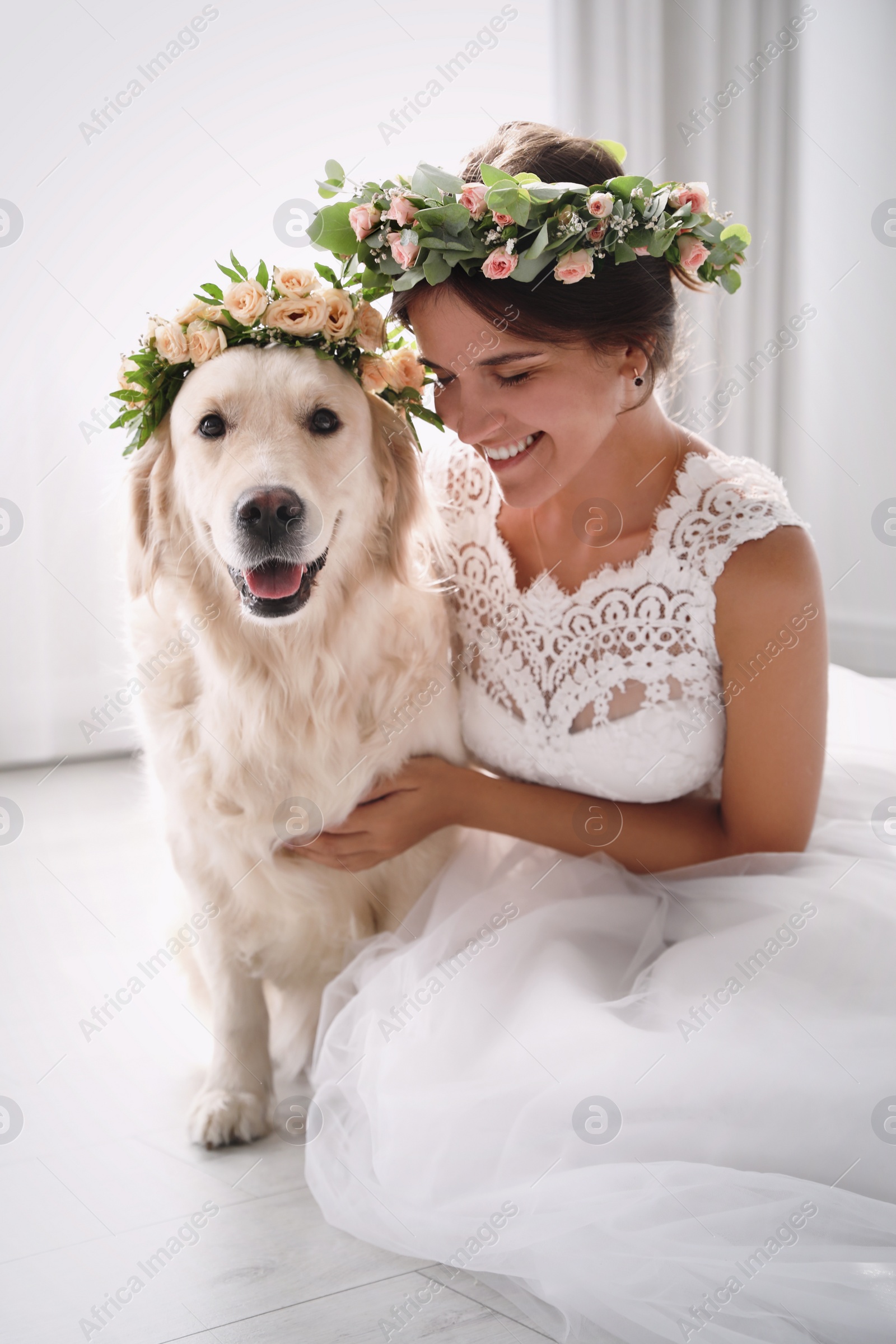 Photo of Bride and adorable Golden Retriever wearing wreath made of beautiful flowers indoors