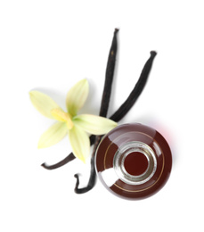 Photo of Vanilla extract, flower and dry pods isolated on white, top view