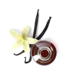 Vanilla extract, flower and dry pods isolated on white, top view