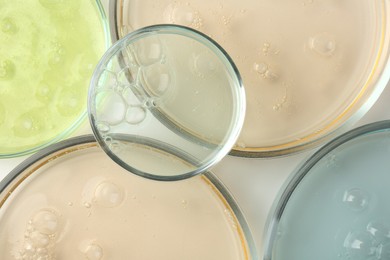 Photo of Petri dishes with different liquid samples on white background, top view