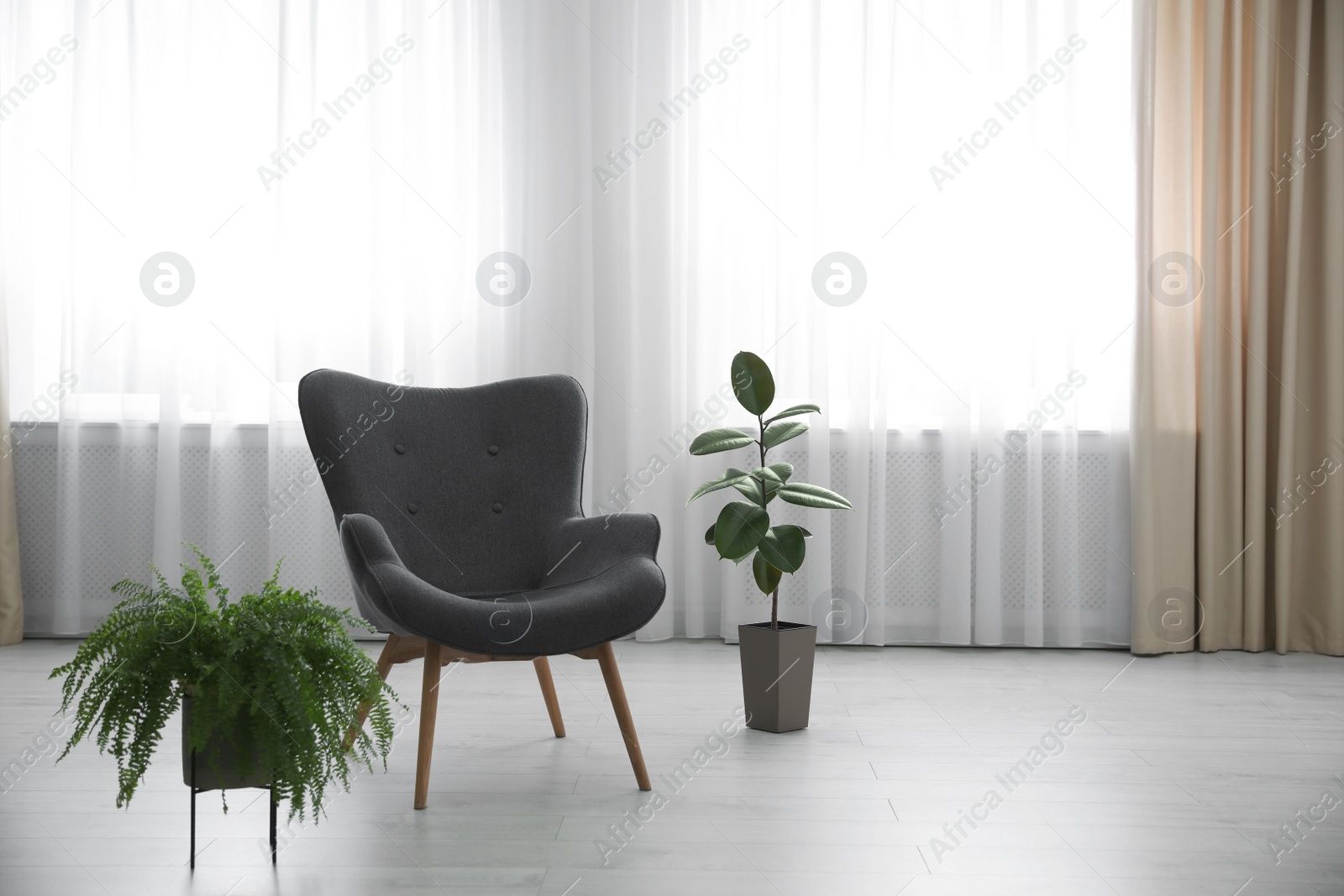 Photo of Green plants and armchair near window. Home design ideas