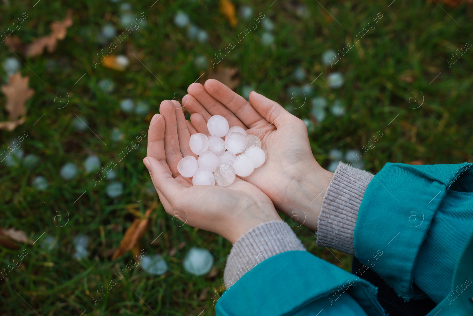 Photo of Woman holding hail grains after thunderstorm outdoors, closeup