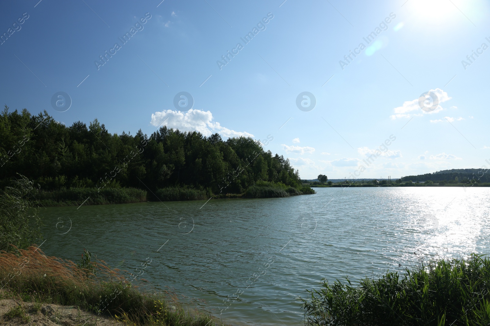 Photo of Beautiful view of river outdoors on sunny day