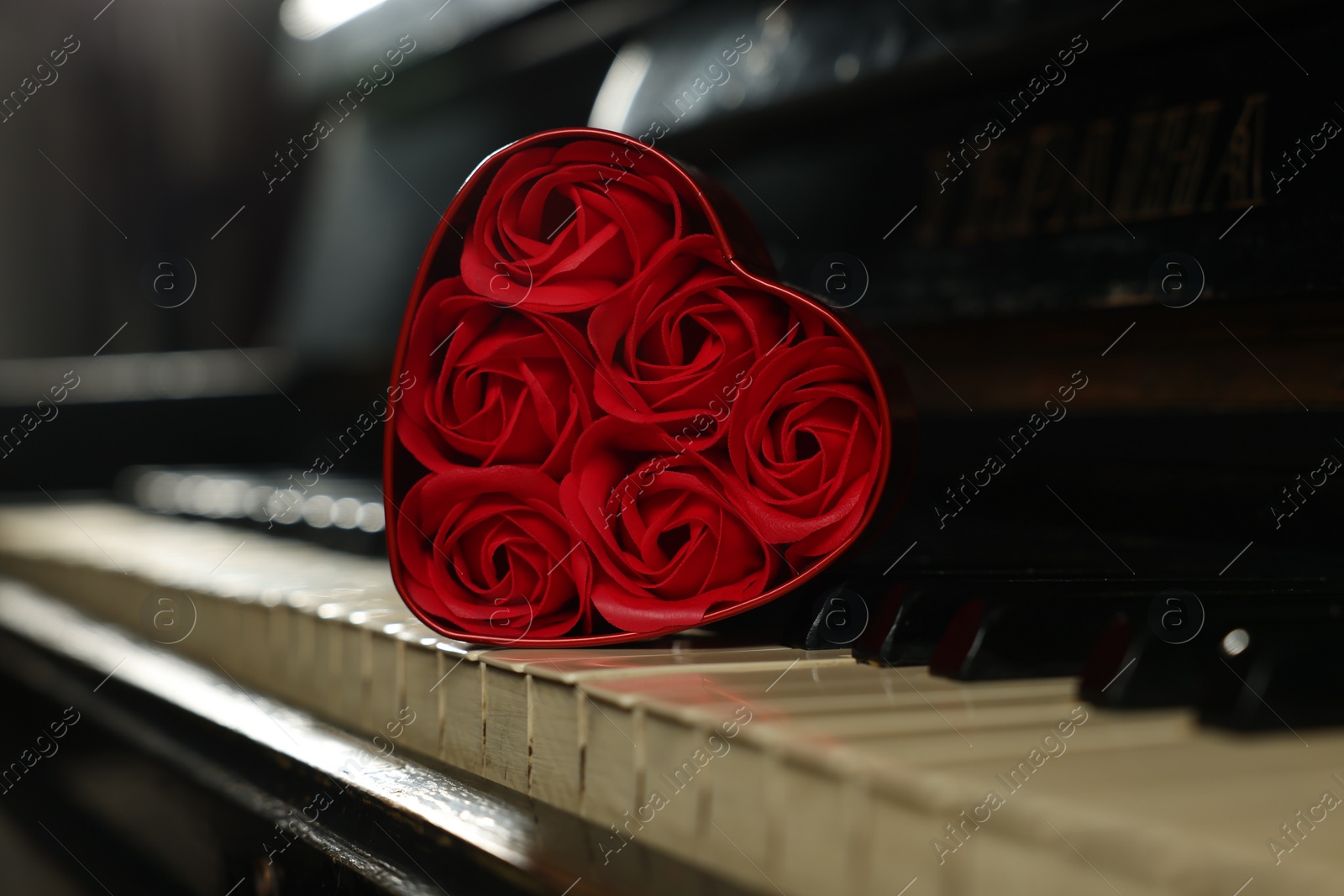 Photo of Beautiful red roses in heart shaped box on piano keys, closeup