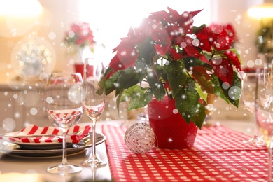 Image of Traditional Christmas poinsettia flower on table. Snowfall effect