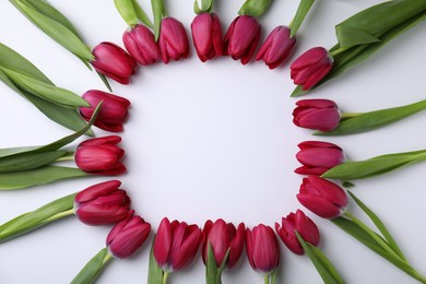 Photo of Many beautiful tulips on white background, flat lay