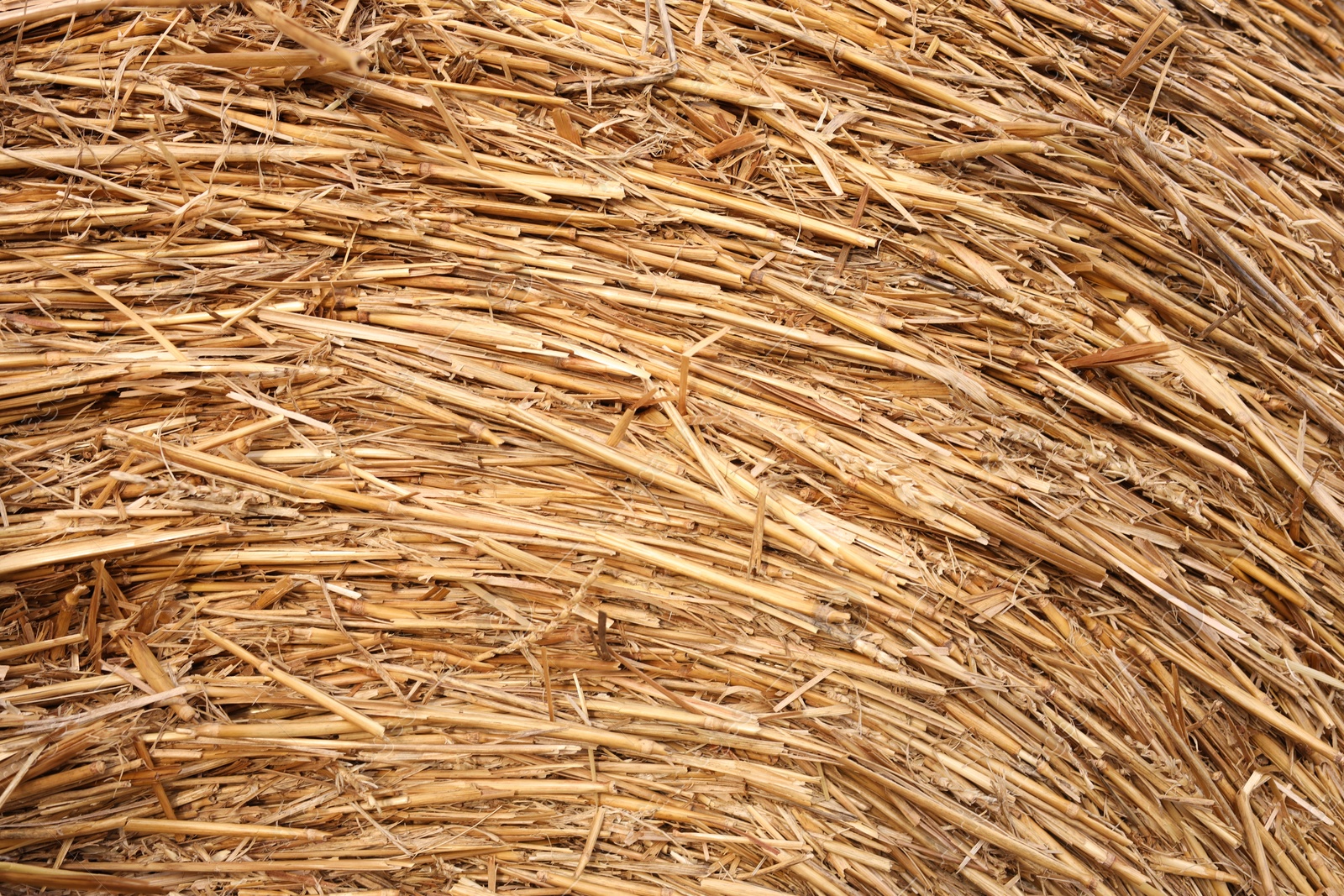 Photo of Hay bale roll as background, closeup view