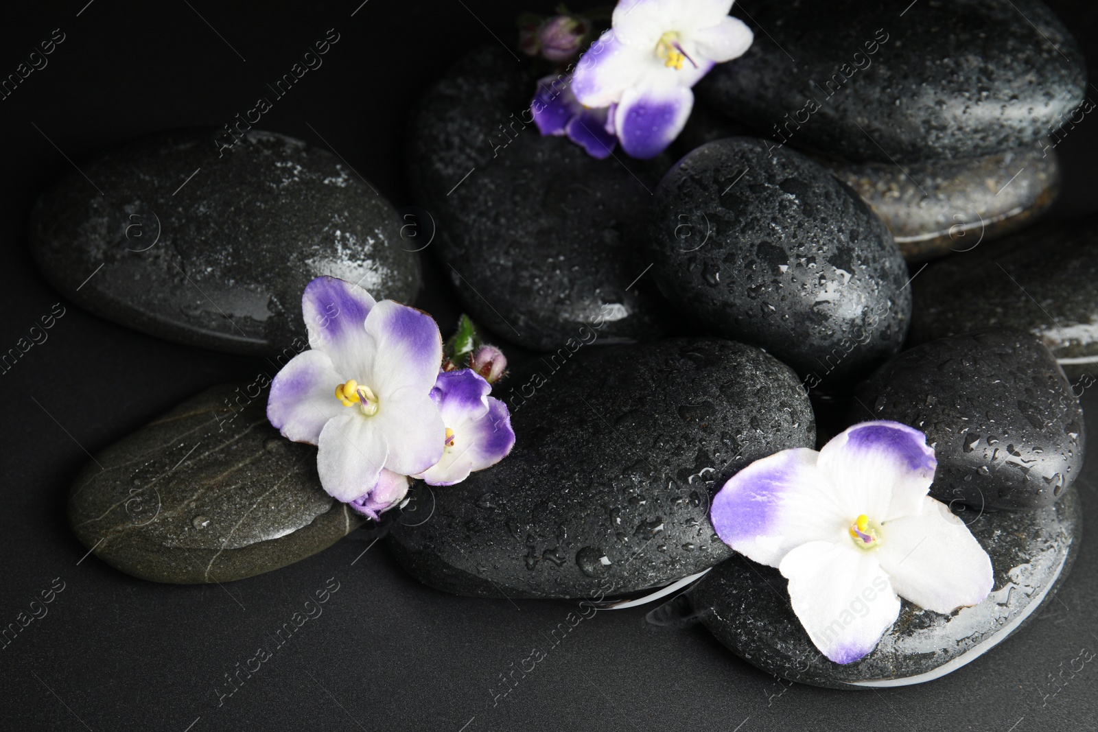 Photo of Stones and flowers in water on dark background. Zen lifestyle