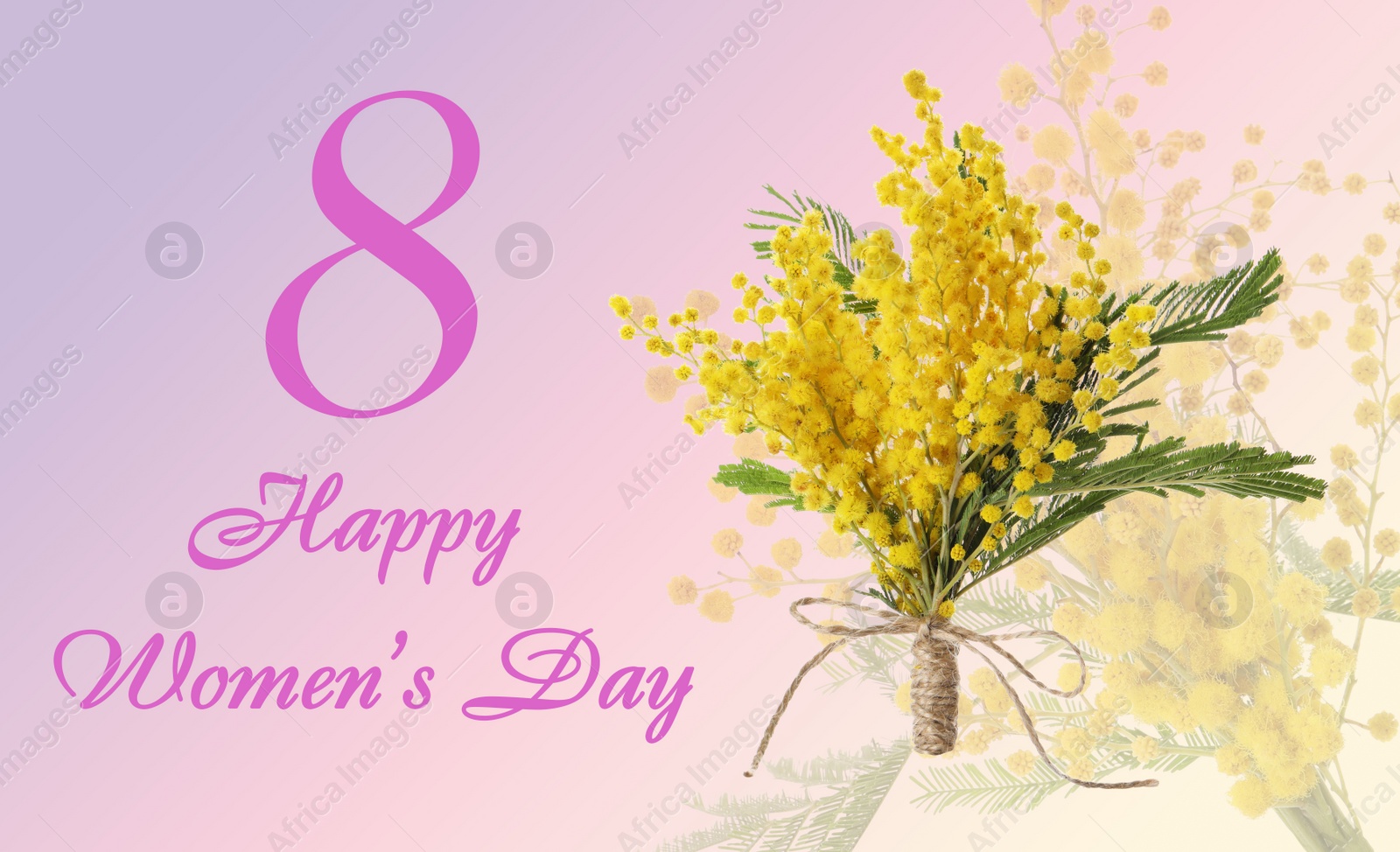 Image of Happy Women's Day. Bouquet of beautiful mimosa flowers on pink background