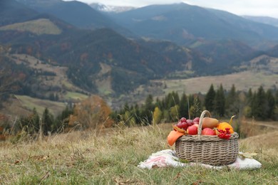 Photo of Wicker picnic basket with fruits, autumn leaves and plaid in mountains, space for text