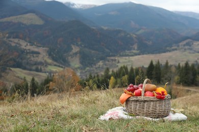 Wicker picnic basket with fruits, autumn leaves and plaid in mountains, space for text