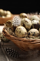 Nest with speckled quail eggs and feathers on table, closeup