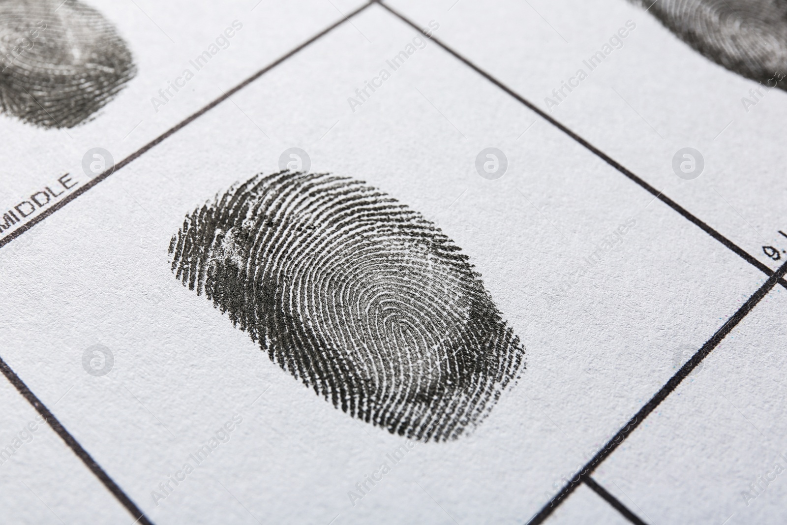 Photo of Fingerprint record sheet, closeup view. Criminal investigation