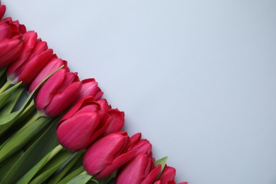 Many beautiful tulips on light grey background, flat lay. Space for text
