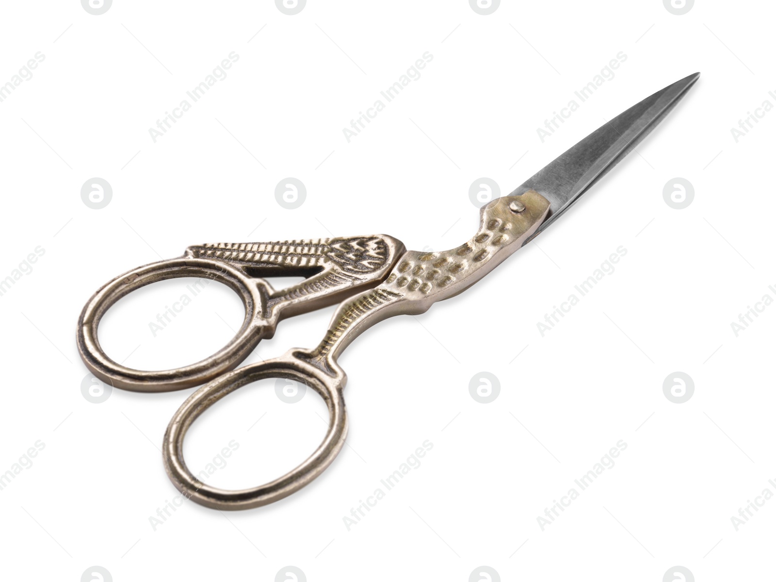 Photo of Beautiful scissors with bird shaped handles on white background