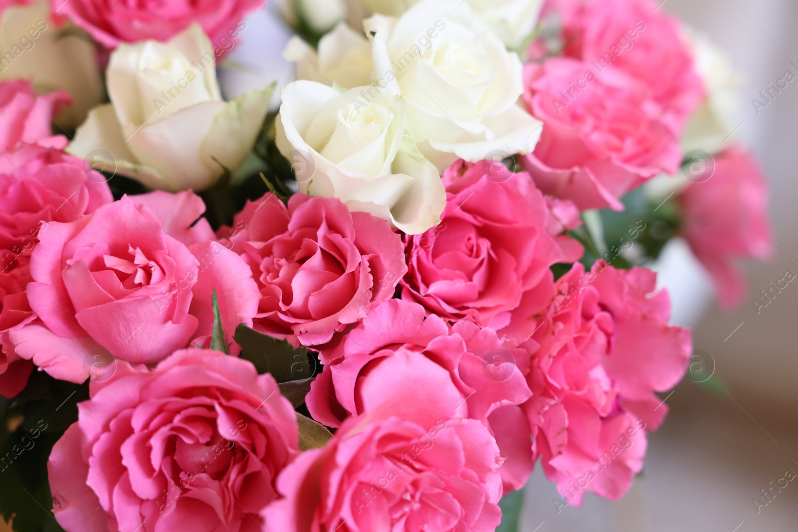 Photo of Beautiful bouquet of roses on blurred background, closeup