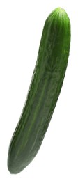 Photo of One long fresh cucumber isolated on white