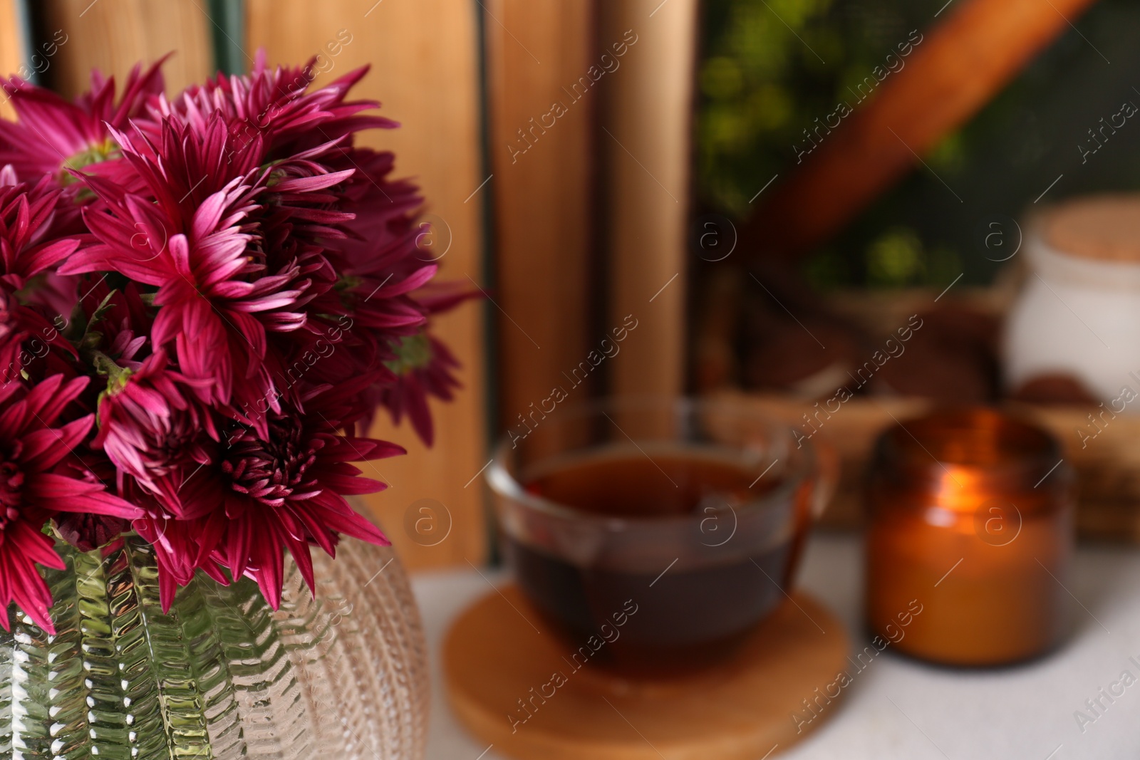 Photo of Beautiful pink chrysanthemum flowers on light grey table, closeup. Space for text