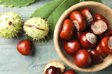 Horse chestnuts and leaf on blue wooden table, flat lay