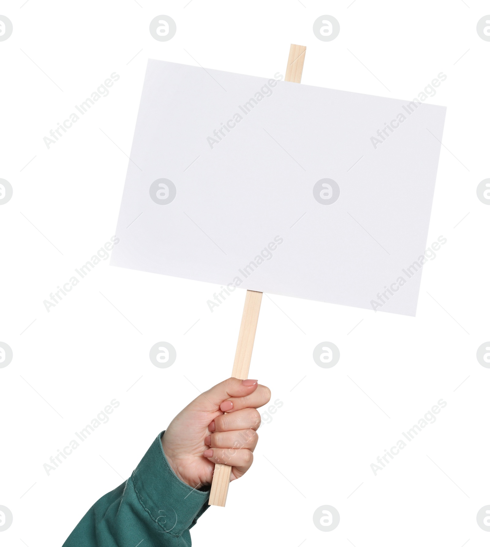 Photo of Woman holding blank protest sign on white background, closeup