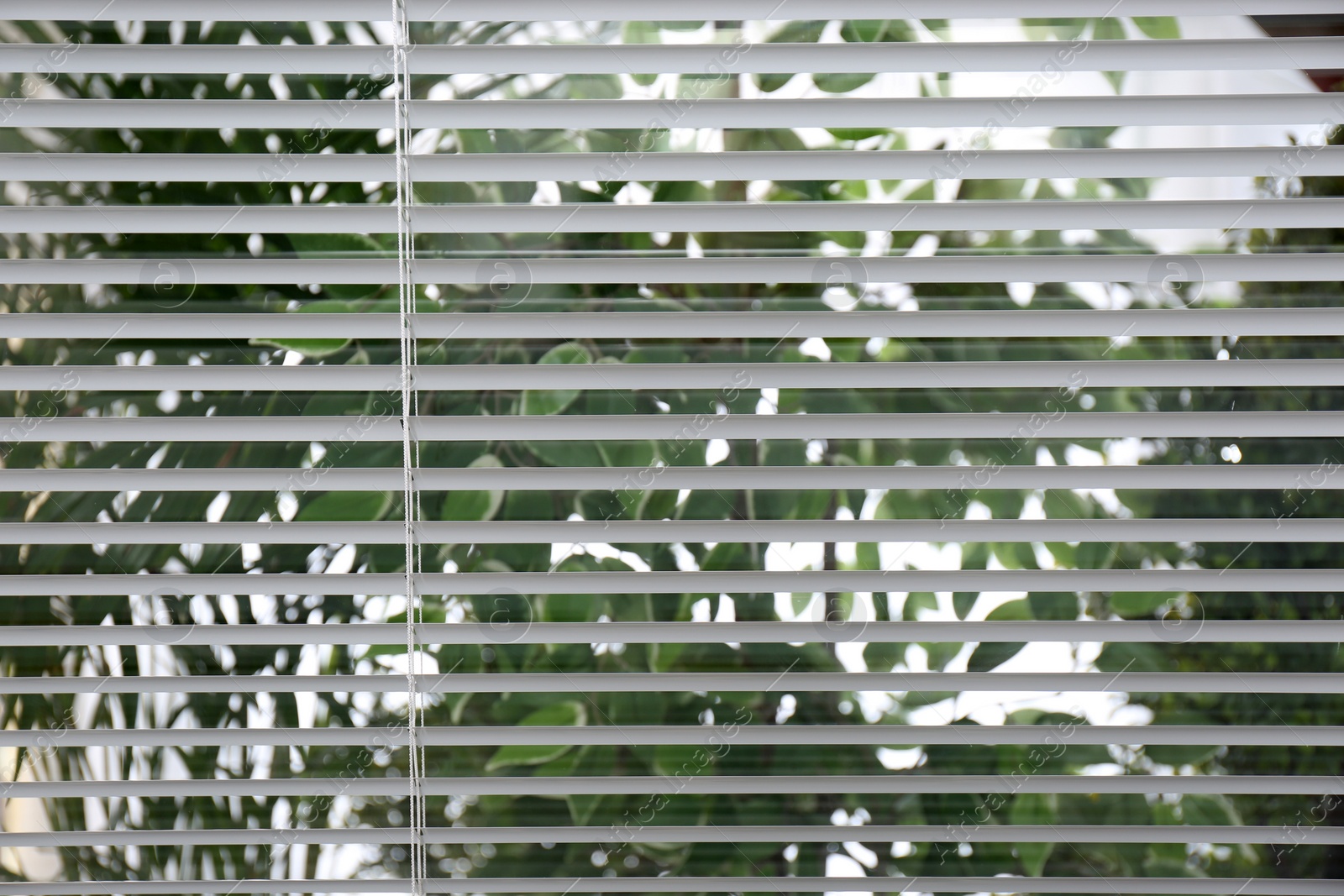 Photo of Open white horizontal window blinds, closeup view