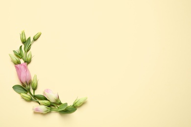 Photo of Flat lay composition with beautiful Eustoma flowers on beige background, space for text