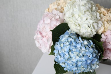 Beautiful hydrangea flowers on light gray background, closeup. Space for text