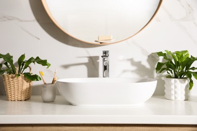 Beautiful green ferns and toothbrushes on countertop in bathroom