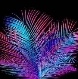 Image of Tropical leaves in neon colors on black background